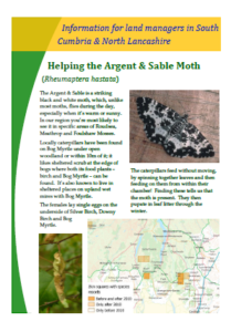 Helping the Argent & Sable Moth